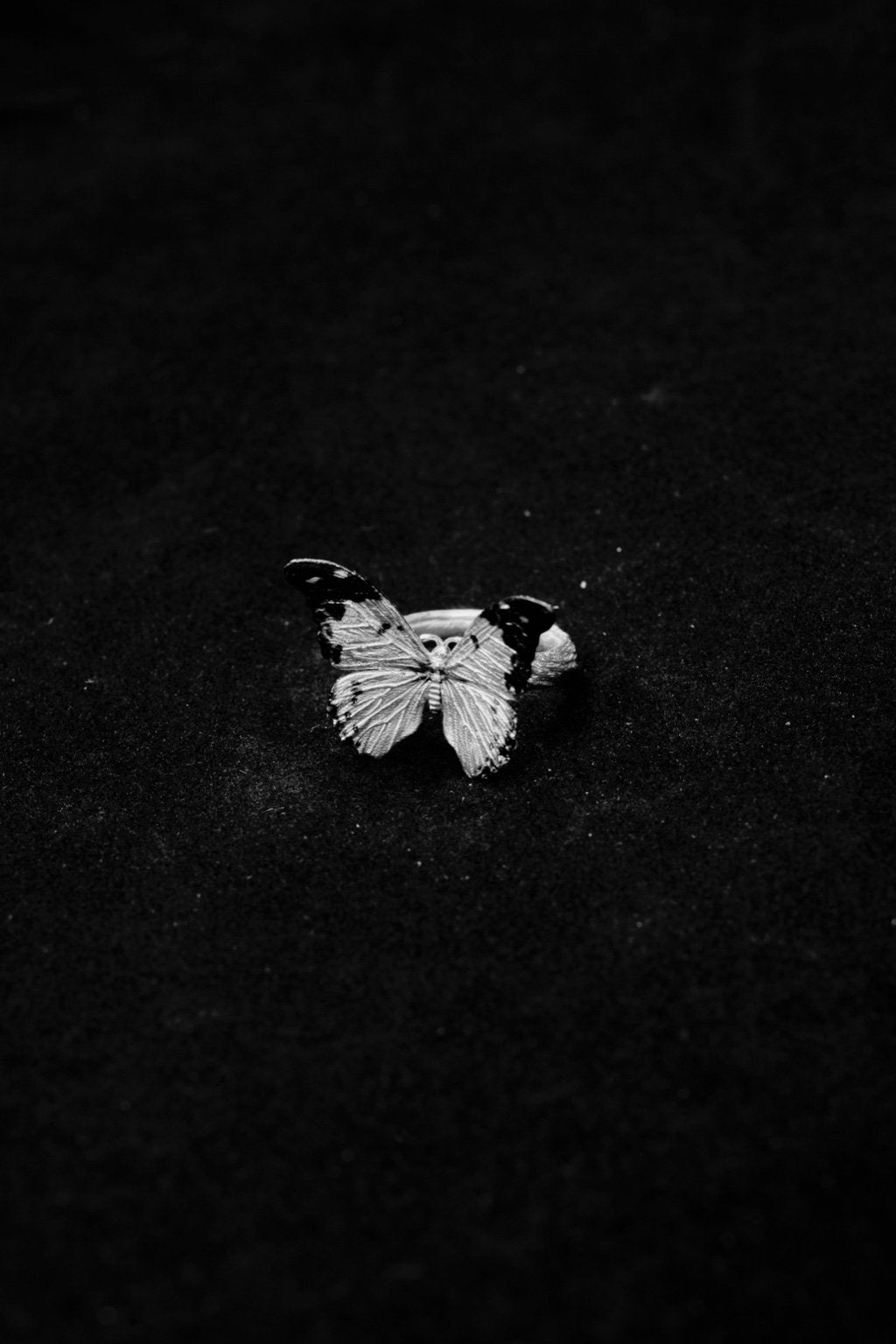 Fireflies—Butterfly Ring 925 Silver